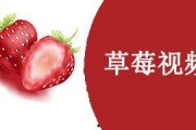 草莓国产视频,探寻本土草莓种植的魅力与风采